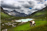 val alpisella - valtellina so