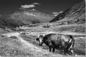val dosd - valtellina (so)